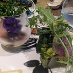 カジュアルフレンチ　アミー - 