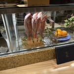 対馬のどぐろとイカ活き造り 博多 魚蔵 - 