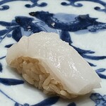 鮨 浜はち - あおりイカ