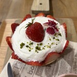 CORAL PARLOR enoco - 