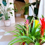 ブラッスリー・ベルデマール - 