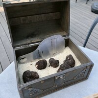 アルティザン ドゥ ラ トリュフ パリ - 