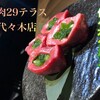 29テラス