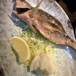 なんちち食堂 - 