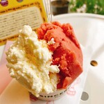 ジェラテリア シンチェリータ - 