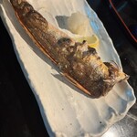 奥美濃酒場 赤鼻 - 