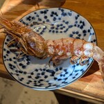 もつ焼き 小江戸 - 