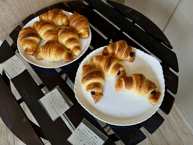 Backer Natur photo 2