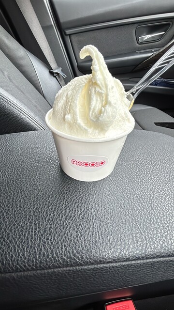 パスコロ（PASCOLO） - ほしみ（ジェラート・アイスクリーム）の写真