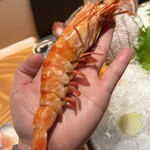 のど黒のあくび 御徒町店 - 