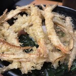大地のうどん - 