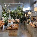 ヴァンダラスト - 