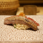 鮨 飛躍 - 鰯（握り）