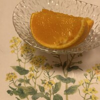 先斗町しゃぶしゃぶすき焼き きらく - 