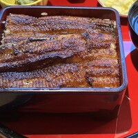 炭焼 うな富士 有楽町店 - 