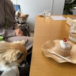 SWING BY - わんこのマフィン