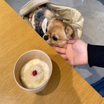 SWING BY - わんこのヨーグルト