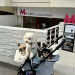 M+CAFE - お店の前　半地下にお店があります。