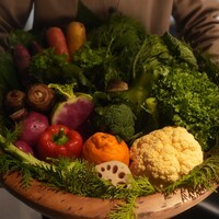 レフェルヴェソンス - 