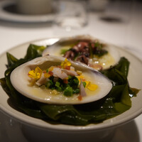 レフェルヴェソンス - 