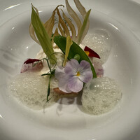La Vallee d'Or - 