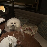 District Brasserie, Bar, Lounge - 