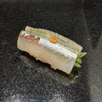 291057958 - 見目麗しい細魚