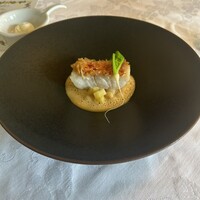 マダム・トキ - 