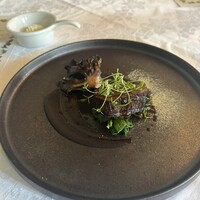 マダム・トキ - 