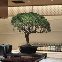 天麩羅･しゃぶしゃぶ・会席 中津川 - 