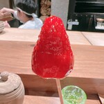 薪鳥新神戸 - 奈良の古都華