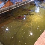 三鷹漁港 大介丸 - 