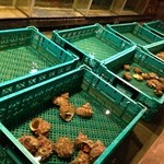 三鷹漁港 大介丸 - 