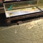 三鷹漁港 大介丸 - 