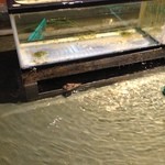 三鷹漁港 大介丸 - 