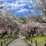 焼肉ホルモン ざくろ 岐南店 - 