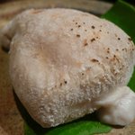 萌えぎ - ふぐ白子　塩焼き