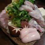 萌えぎ - てっちり