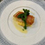 カーサミーア - 