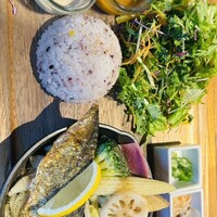 やさいの王様 銀座店 -  やさいの王様 銀座店 -