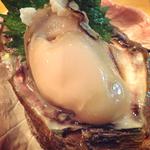 Kusunoki - 能登の特大岩牡蠣