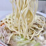 柳屋食堂 - 麺のアップです。（2025.3 byジプシーくん）