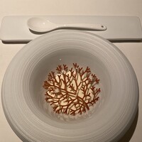 Plaiga TOKYO - 