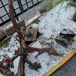 松のぶ - 