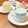 ドルチェマリリッサ - ◾︎モカケーキ イノセンス
◾︎チョコレートケーキ ピンクベリー
◾︎レアチーズケーキ エイミー
◾︎胡桃とキャラメルケーキ パール