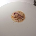 エクアトゥール - 【2014年3月】:前菜
      オマールとリードヴォーのポアレ、カリフラワーとオレンジ、生姜のコンフィ添え
      オマール海老の泡のソース