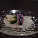 イル アオヤマ - 