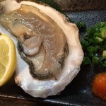 地球屋にんげん亭 - 岩牡蠣 ¥300