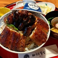 炭焼うな富士 白壁別邸 - 
