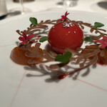 ジョンティ アッシュ - 